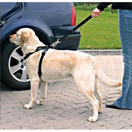 Trixie Dog Car Seat Belt And Harness - Medium Dogs (50 - 70cm) - Image 2