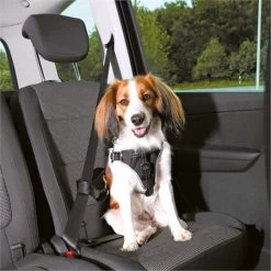 Trixie Super Comfort Seat Belt Harness For Dogs - Small Dogs