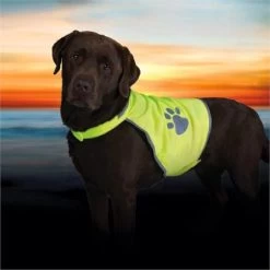 Trixie Dog Hi Vis Safety Waistcoat - Extra Large Dogs (80 - 110cm)
