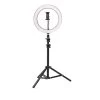 You Star Content Creator 26cm Dimmable Led Ring Light With Phone Holder
